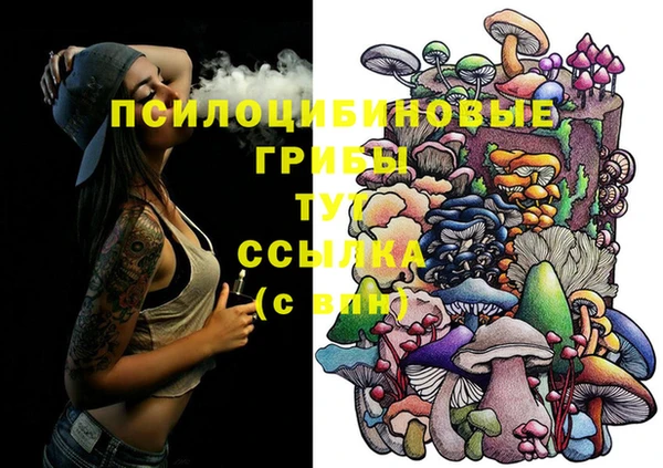 МДПВ Володарск