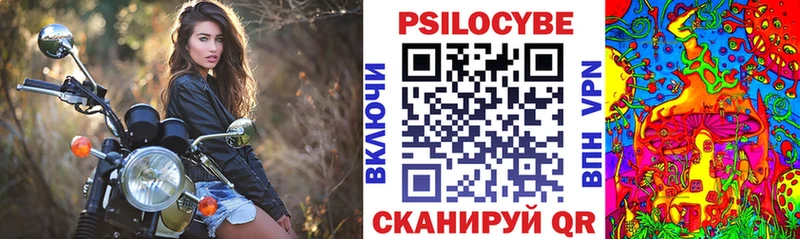 купить наркотик  Снежинск  shop какой сайт  Галлюциногенные грибы GOLDEN TEACHER 
