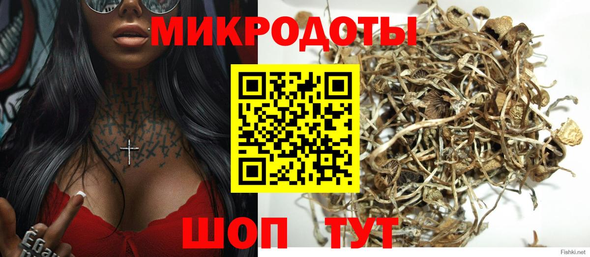 Псилоцибиновые грибы Psilocybe  Вход с VPN  Снежинск 