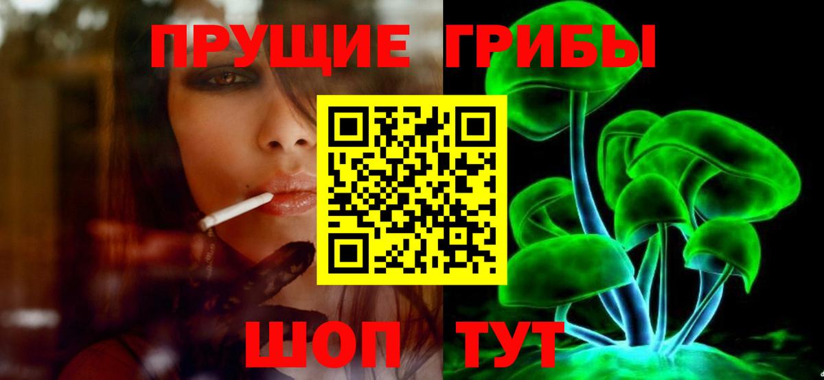 Псилоцибиновые грибы Psilocybine cubensis Снежинск