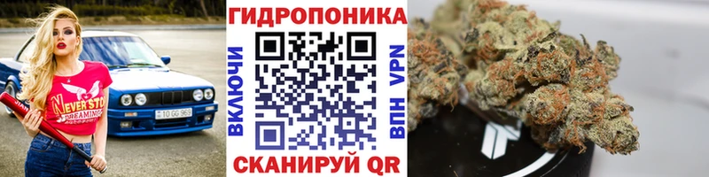 Каннабис индика  где купить наркотик  Снежинск 